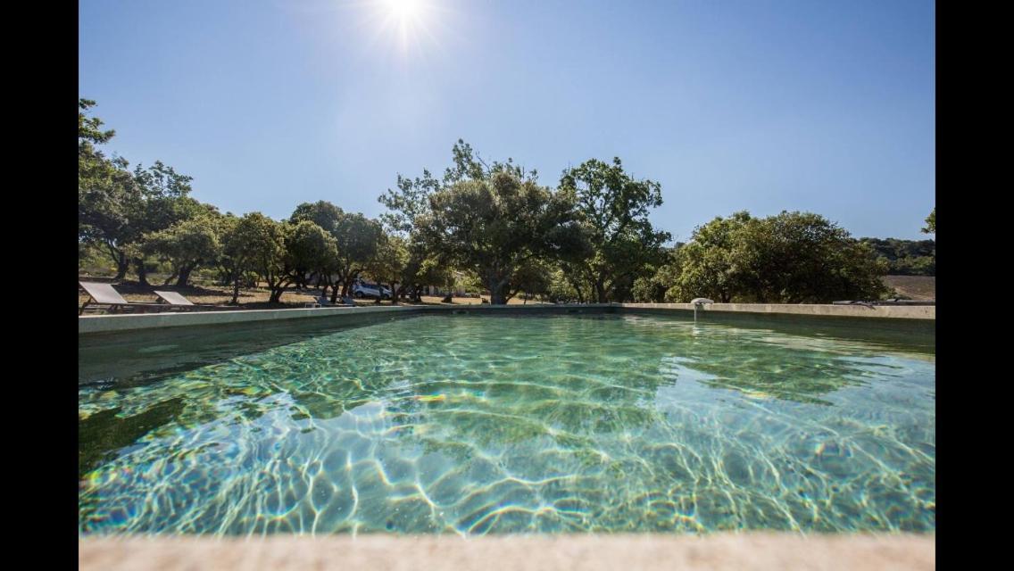 Chambres D'Hotes De La Verrerie Lioux Dış mekan fotoğraf